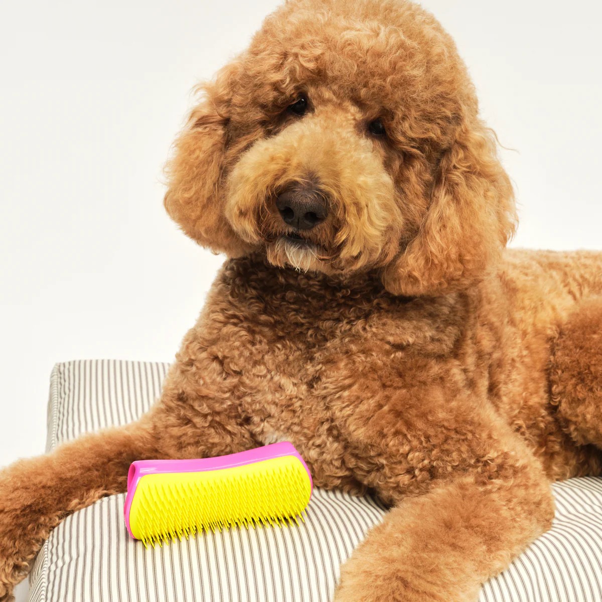 Pet Teezer DeTangling Pink / Yellow